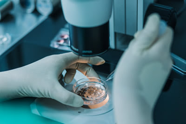 1650356380432118.png unnamed-1 (1).png